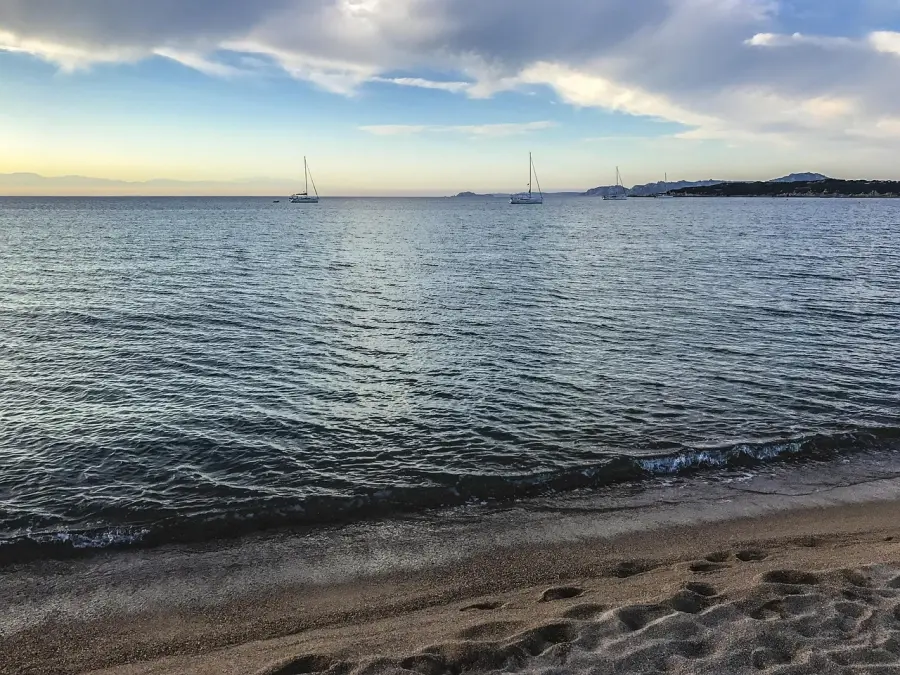 Bibbona al centro del G20Spiagge: confronto su turismo, fiscalità e governance costiera