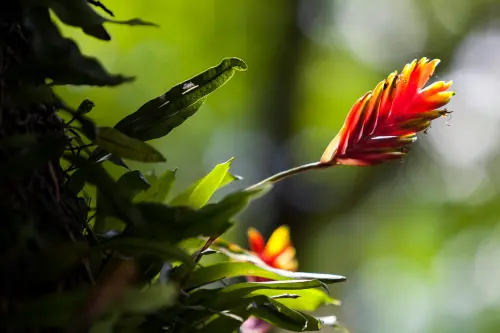 Harborea 2026, Livorno inaugura la prima edizione primaverile a Villa Mimbelli