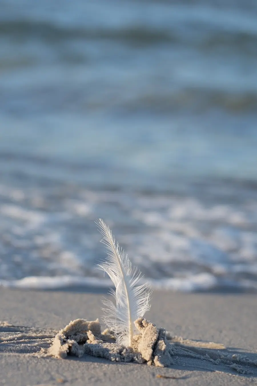 Allerta gialla a Livorno per vento e mareggiate: le indicazioni della Protezione Civile