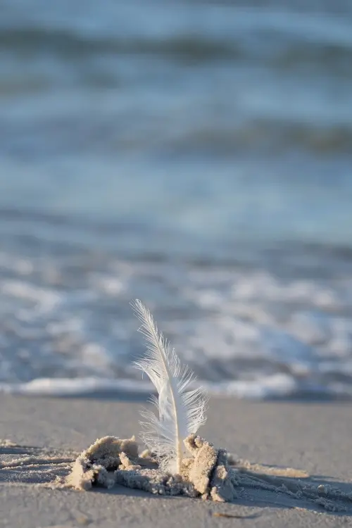 Allerta gialla a Livorno per vento e mareggiate: le indicazioni della Protezione Civile