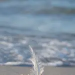 Allerta gialla a Livorno per vento e mareggiate: le indicazioni della Protezione Civile