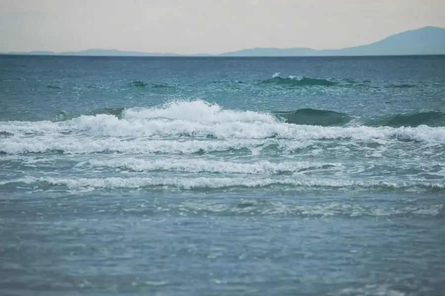Livorno, al Museo del Mediterraneo una giornata sulle specie aliene