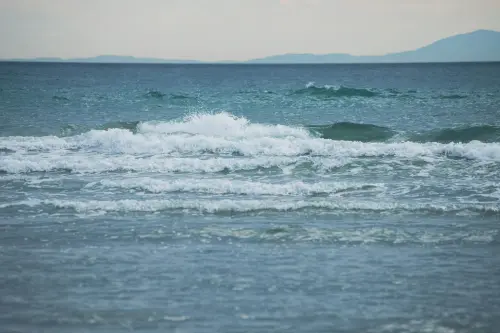 Livorno, al Museo del Mediterraneo una giornata sulle specie aliene