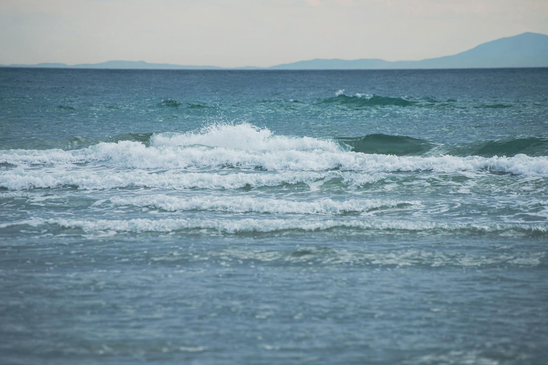Livorno, al Museo del Mediterraneo una giornata sulle specie aliene