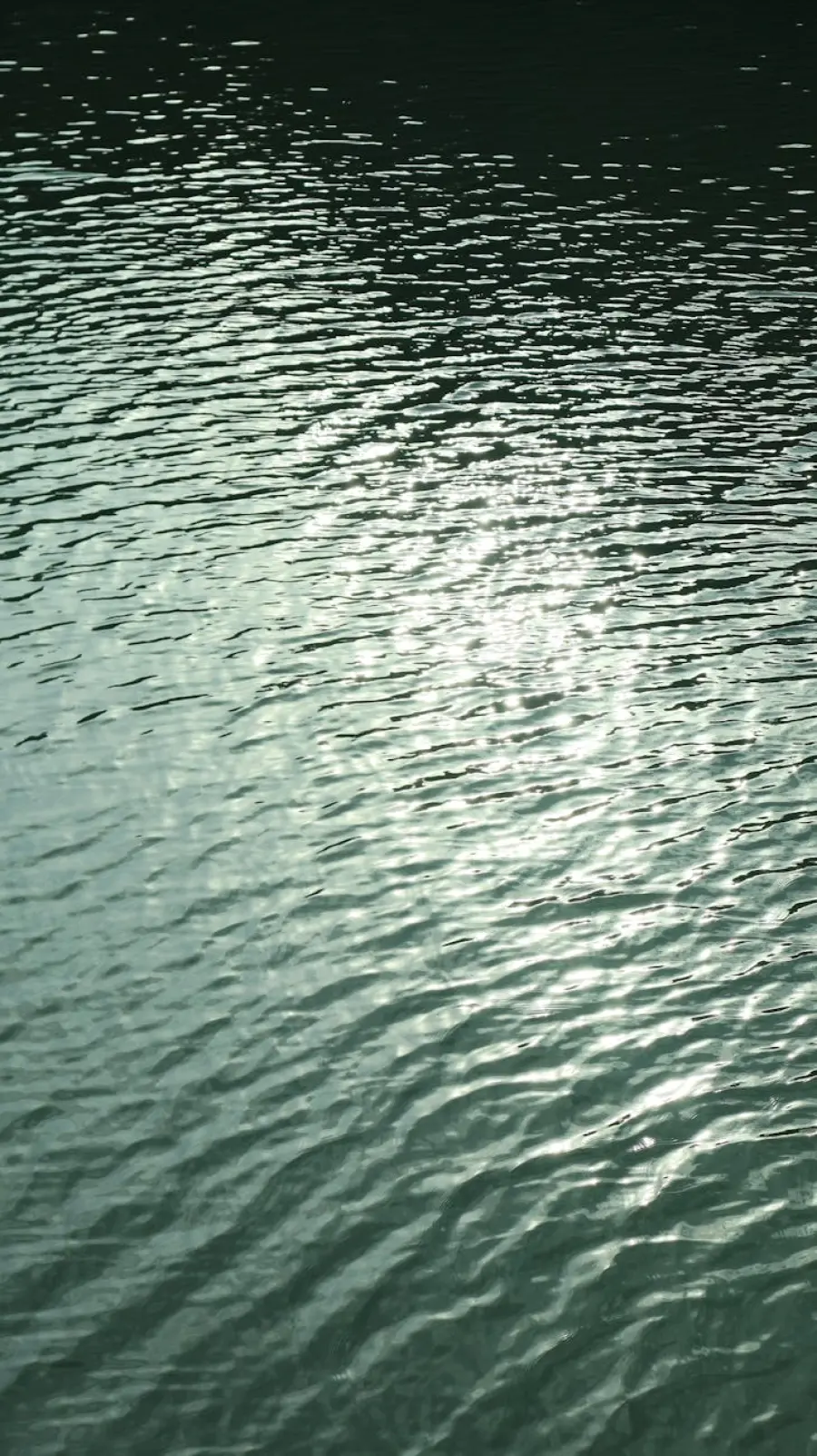 Val di Cornia, ARPAT: fiume Cornia in stato ecologico buono, criticità nelle falde