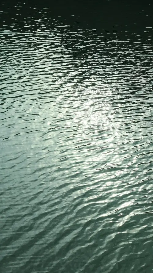 Val di Cornia, ARPAT: fiume Cornia in stato ecologico buono, criticità nelle falde