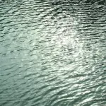 Val di Cornia, ARPAT: fiume Cornia in stato ecologico buono, criticità nelle falde