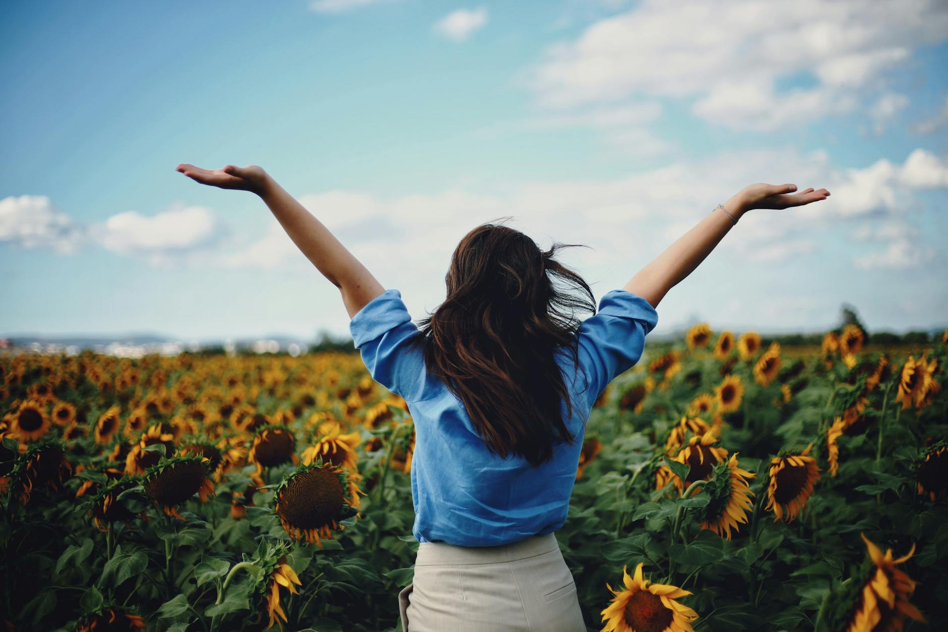 Livorno capitale della felicità, festival dall’8 al 10 maggio