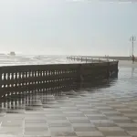 Livorno, un fine settimana di risultati tra sanità, ippica e sicurezza urbana