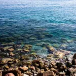 Livorno conferma la Bandiera Blu 2026: premiate le spiagge della costa
