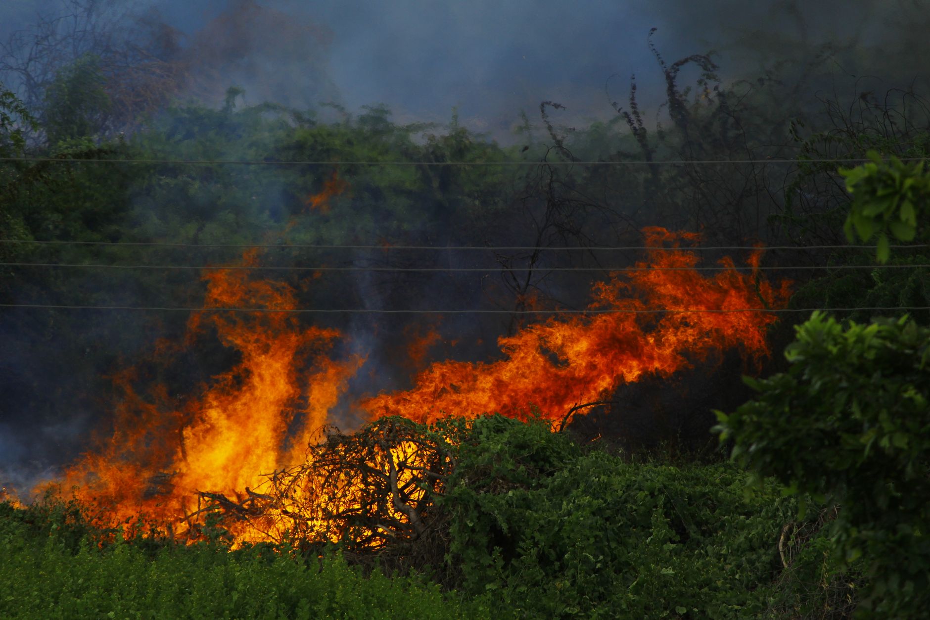 Incendi boschivi in Toscana, divieti al via dal 13 giugno