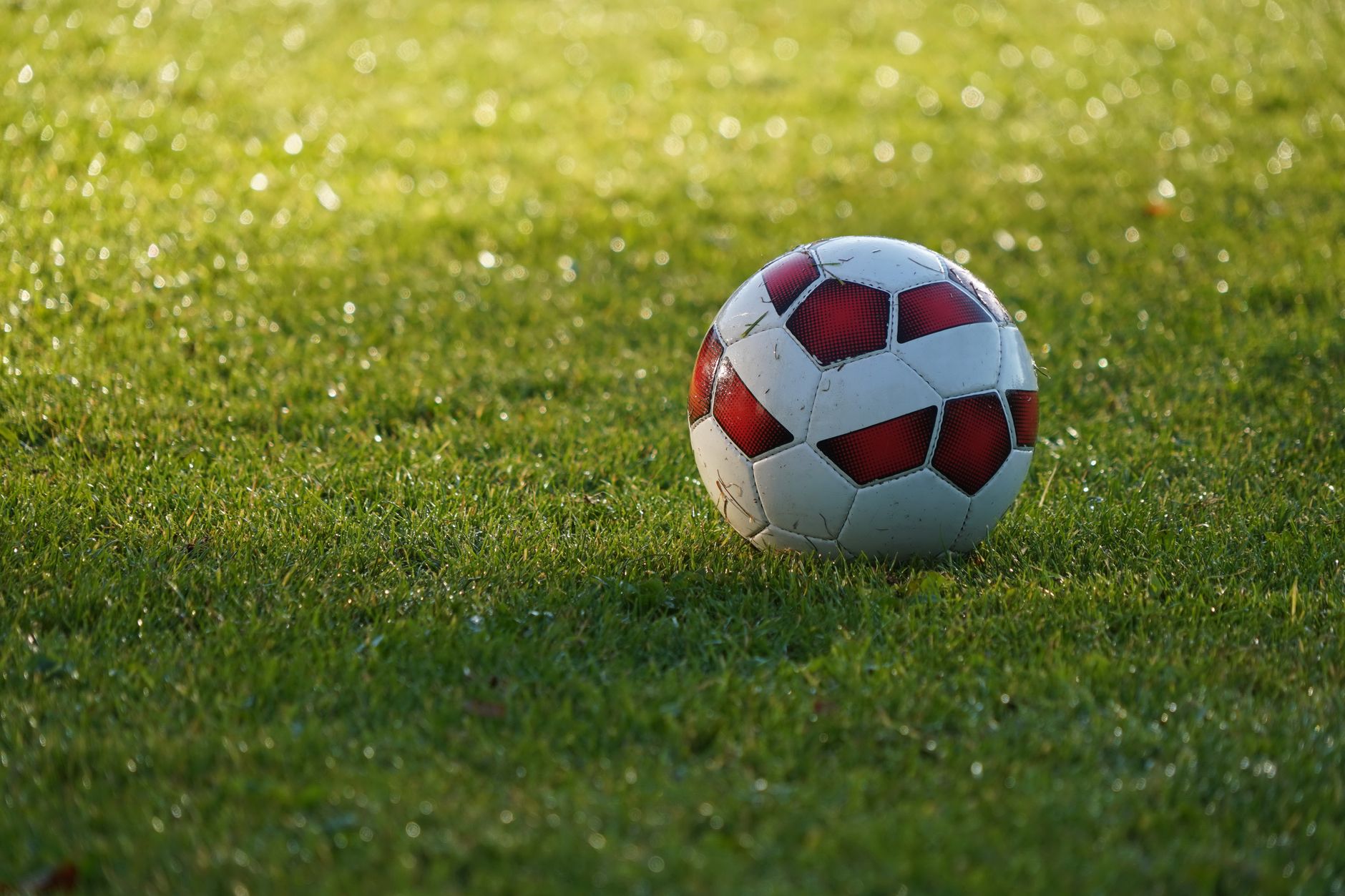 Livorno, 32ª edizione del Torneo “Sara Mazzi” al campo Magnozzi