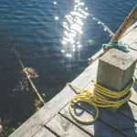 Livorno, ARPAT all’Osservatorio ambientale sul porto