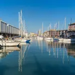 Porto di Livorno 2026: traffico merci ed economia