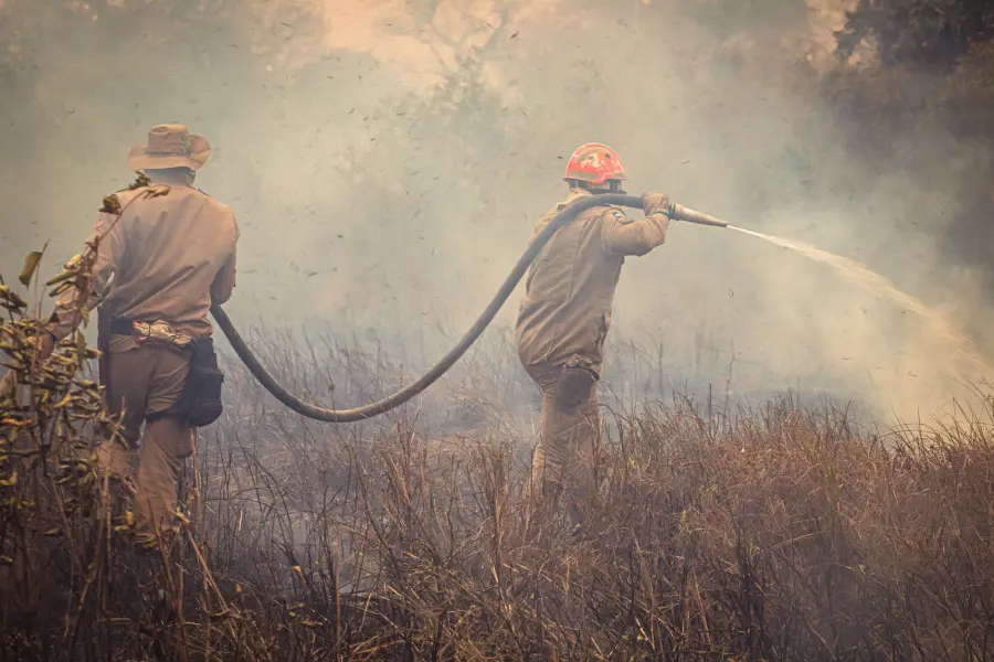 Livorno, ARPAT: nessuna diossina nei vegetali dopo l’incendio