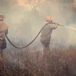 Livorno, ARPAT: nessuna diossina nei vegetali dopo l’incendio