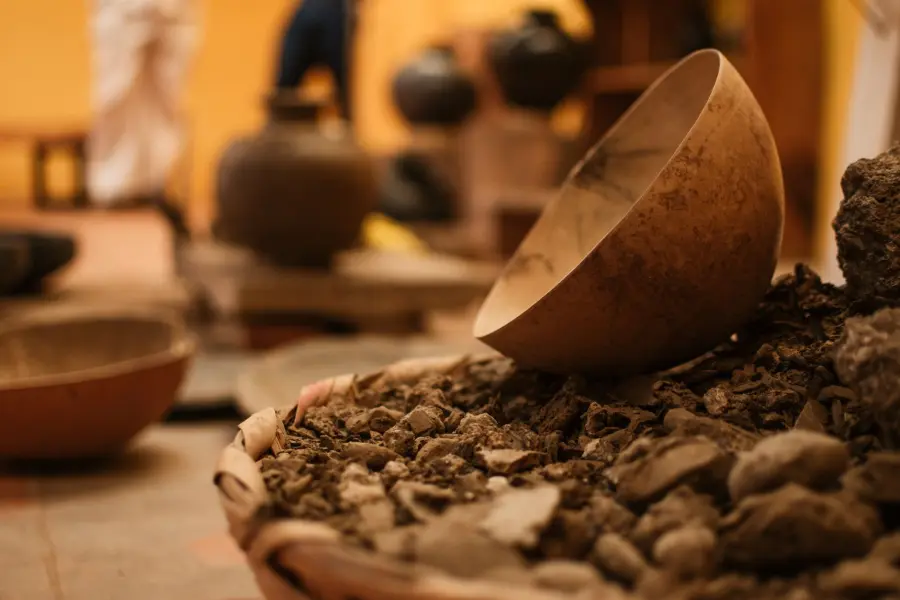 Livorno, due serate archeologiche al Museo della Città