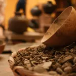 Livorno, due serate archeologiche al Museo della Città