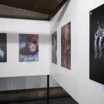 Livorno, Premio Rotonda 2026: 60 opere in mostra dal 21 agosto