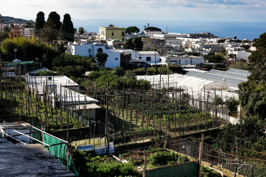 Livorno, Orti Urbani: il Comune difende il progetto 98% verde