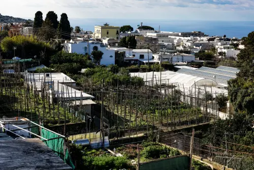 Livorno, Orti Urbani: il Comune difende il progetto 98% verde
