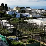 Livorno, Orti Urbani: il Comune difende il progetto 98% verde
