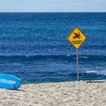 Livorno, stop temporaneo ai bagni in tre tratti di costa