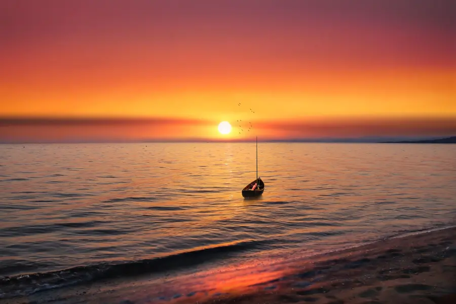 Livorno, donato un remergometro al Palio Marinaro: nuovo impulso al progetto “Scuole in barca”